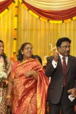 Rajesh-Daughter-Wedding-photos-_28_