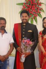 Soundararaja-Tamanna-Wedding-Reception-_11_