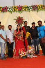 Soundararaja-Tamanna-Wedding-Reception-_17_