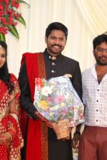 Soundararaja-Tamanna-Wedding-Reception-_33_