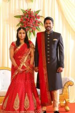 Soundararaja-Tamanna-Wedding-Reception-_3_