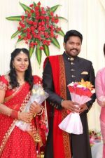 Soundararaja-Tamanna-Wedding-Reception-_41_