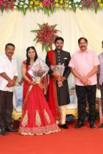 Soundararaja-Tamanna-Wedding-Reception-_46_