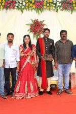 Soundararaja-Tamanna-Wedding-Reception-_53_