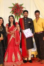 Soundararaja-Tamanna-Wedding-Reception-_60_