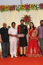 Soundararaja-Tamanna-Wedding-Reception-_6_