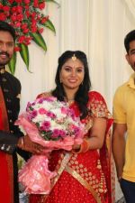 Soundararaja-Tamanna-Wedding-Reception-_71_