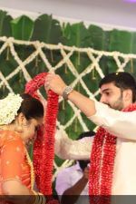 Sreejith-Vijay-marriage-photos-_4_