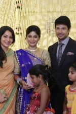 Actress-Vijayalakshmi-wedding-reception-pics-_16_