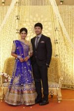 Actress-Vijayalakshmi-wedding-reception-pics-_17_