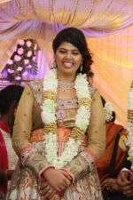 Ajay-Ratnam-Son-Wedding-Reception-Stills-_25_