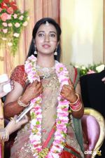 Arulnithi-Keerthana-Wedding-Reception-_46_