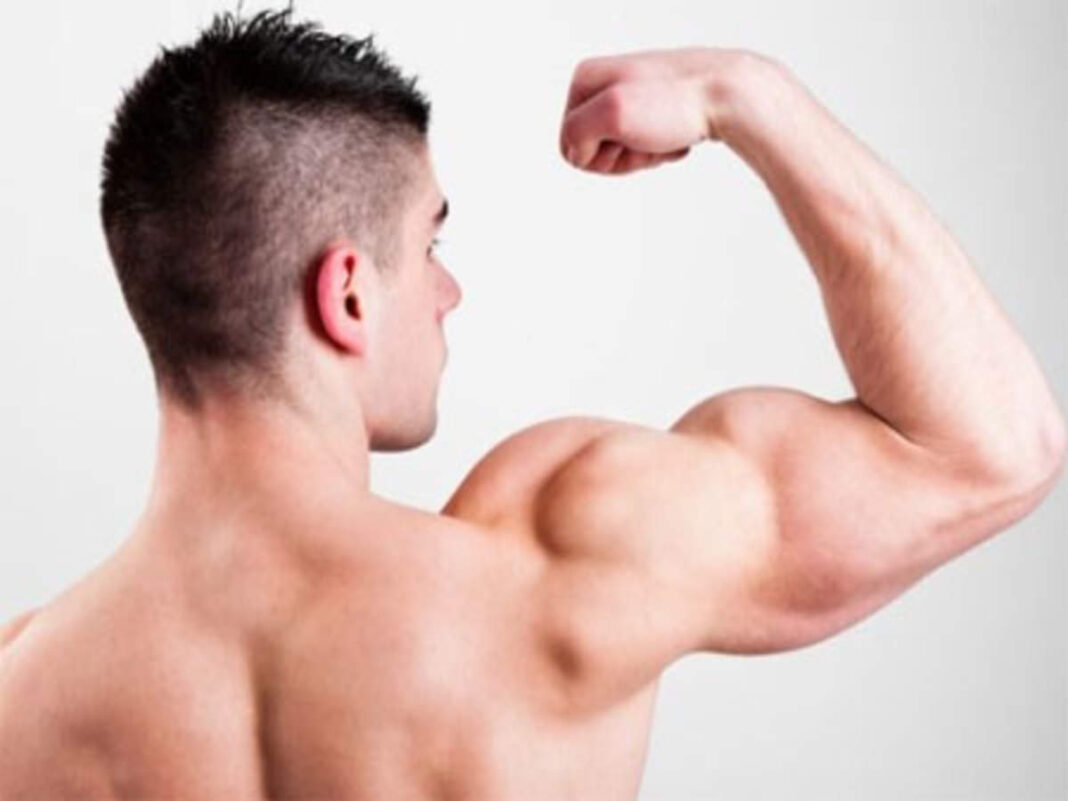 Best Vitamin sources for muscle building